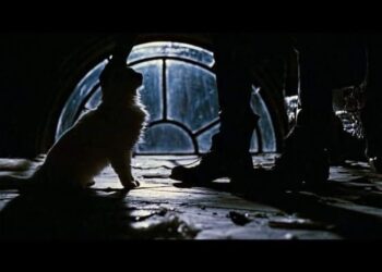 “Why Fans Believe The Crow is the Most Cursed Movie Ever Made”