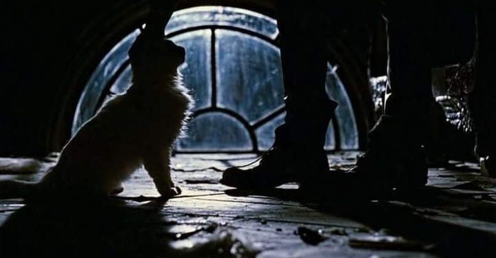 “Why Fans Believe The Crow is the Most Cursed Movie Ever Made”