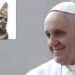 Pope Francis Launches “Saintly Paws”: A Cats Club in the Vatican