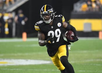 Two Former Steelers Sign With UFL Teams