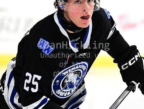 Lukáš Sedlák je jedno vítězství od zisku Stanley Cupu