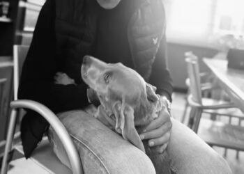 Mijn beste vriend”: Mathieu van der Poel vertelt openhartig over emotionele strijd na ziekte van zijn hond