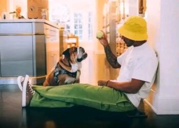 Heartbreak in the Fast Lane: Lewis Hamilton Says He’s ‘Done With Racing’ Following the Death of His …