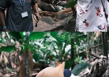 Več kot prvak: Pogačar si vzame odmor od treningov za leto 2026, da bi navdihnil naslednjo generacijo kolesarjev